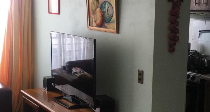 IMG-20191116-WA0033