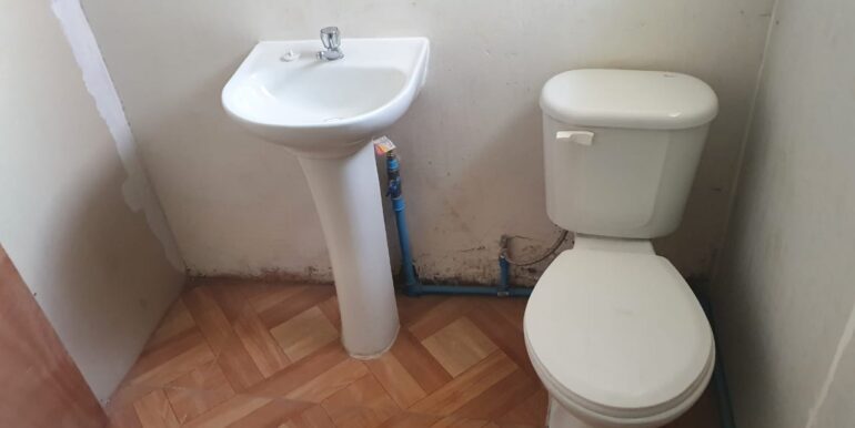 IMG-20210223-WA0095